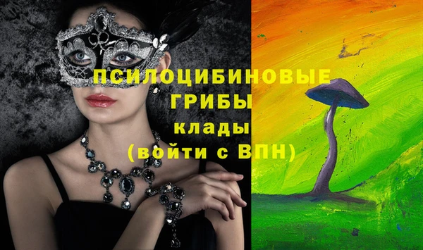 мет Армянск