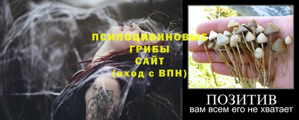 ALPHA PVP Алзамай