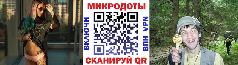 Галлюциногенные грибы прущие грибы  купить   Балашов 